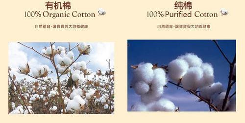 有机棉花.jpg 有机棉花.jpg